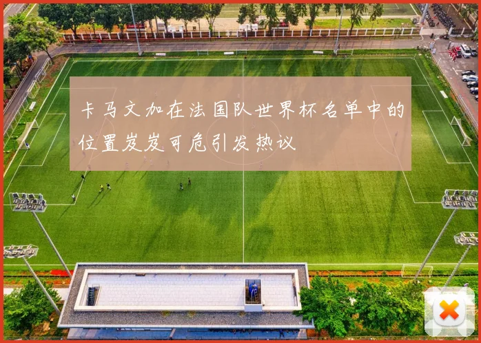 卡马文加在法国队世界杯名单中的位置岌岌可危引发热议