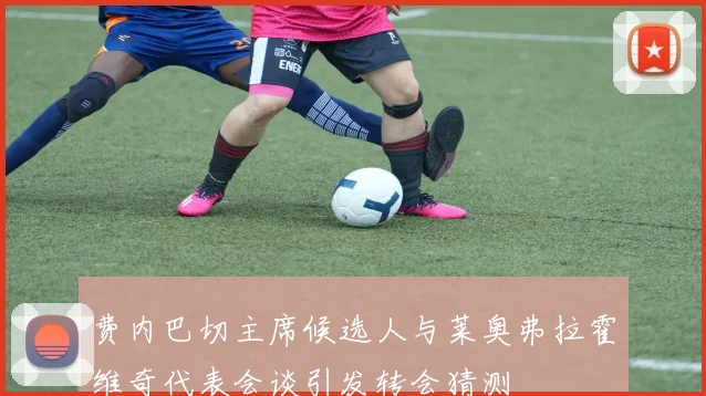 费内巴切主席候选人与莱奥弗拉霍维奇代表会谈引发转会猜测